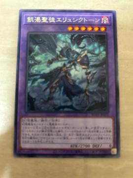 �V�Y�� �Q�k���k �G�����V�N�g�[�� ��