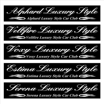 ピンスト アルファード Luxury Style  30センチ