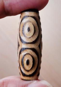 �`�x�b�g �΋��{ ����V��