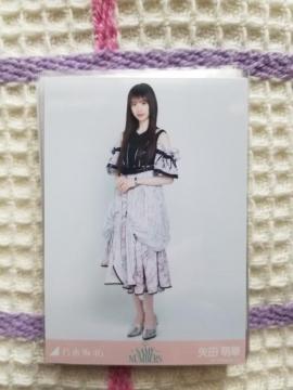 �T�؍�46  ���ʐ^  �܂Ƃ�  �@