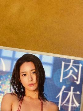 gC  ̔ F     DVD