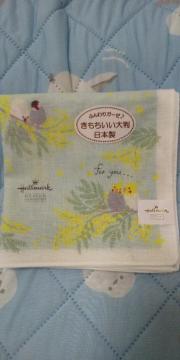 &IJCR 唻nJ`gpi