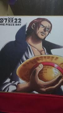 ONE PIECEԂ G VNX̔Xq ʐF2