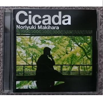 KF@ꠌhV@cicada@