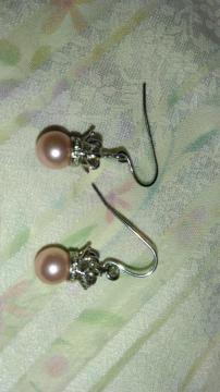 �������`�[�t���x�r�[�s���N�p�[���s�A�X���S�X����/�P�n�ɑ���