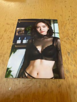【現品限り!】【AI作成写真L判サイズ】理想の彼女【