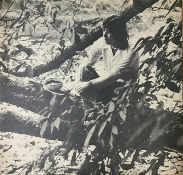 �z�{�� �x�X�g�E�A���o�� LP���R�[�h 1974�N �L���O���R�[�h �`���̉̐� ���a���g��