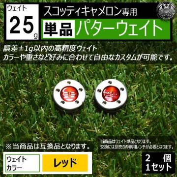 LEDz݊i èݐp  Pi گ25g 2