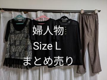 []Sizek/wl/܂Ƃߔ//