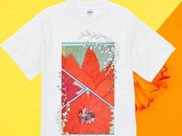 nCNIeB[ TVc IW@ԁ@킢