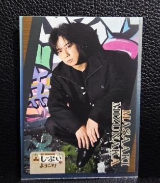 �������������i�����[�Ղ�/�ڸ��ݶ��ށ�������́��V�i��