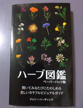 �{ �n�[�u�}�Ӂ@�y�[�p�[�o�b�N�Ł@�W�F�j�[�E�n�[�f�B���O