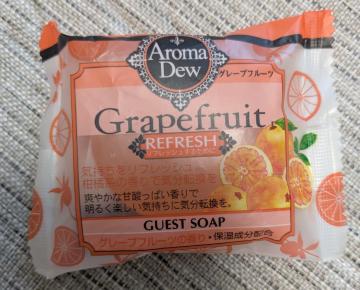 �A���}�f���E�@G�\�[�v