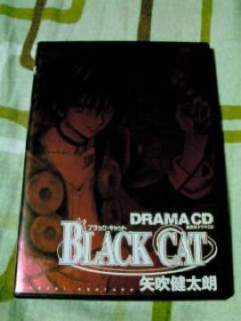 BLACK CAT WpCD ׯ ׯ ߓ