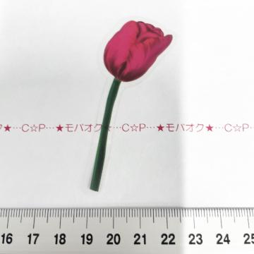 �`���[���b�v�̺װ�ޭ��ف@341