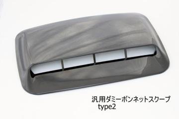 ėp_~[{lbgXN[vtype2
