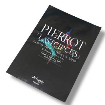 �yPIERROT�zK�A���[�i���l��LASTCIRCUS�t���C���[���q