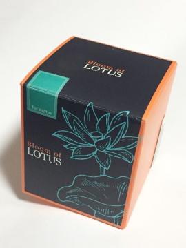 <Bloom of LOTUS>u[Iu[^X(tOXLh)