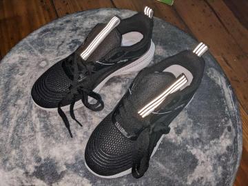Vi 24cm Xj[J[ [Jbg fB[X C V[Y ubN