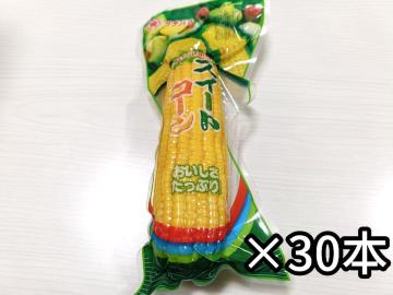 ^`oiHi XC[gR[ ^pbN 240g ~30{