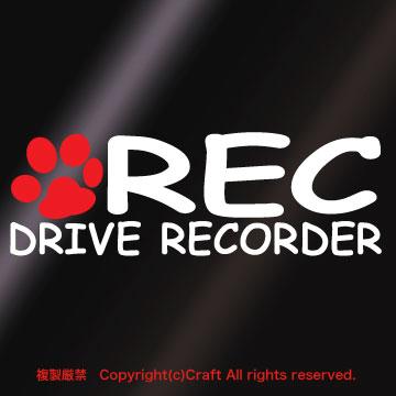 /REC DRIVE RECORDER /XebJ[ hR/