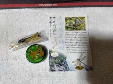 ���ذ�V�R�� �ް��òٽ�2 �����޼��� ���g��