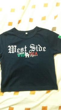 vida locaTVc`J[ichicana