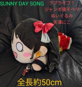 ZK/W{Qׂʂ/uCu/Vɂ/ SUNNY DAY SONG/50cm