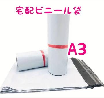 zrj[ A3  55