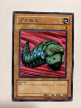 �V�Y���y�n�E�v�`���X�z