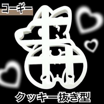 yVizNbL[^/R[M[̂K