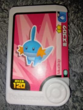 ポケモンフレンダ*ミズゴロウ*未使用