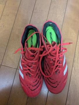 �A�f�B�_�X �v���f�^�[ �T�b�J�[�V���[�Y