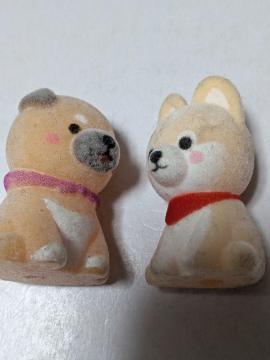 ���{���~�j�t�B�M���A�Q��