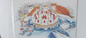 �o�[�X�f�[�J�[�h �l�R(�V�i�E���g�p)  158�~(�ō�)