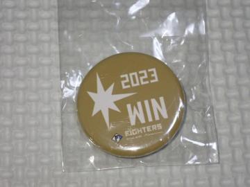 {nt@C^[Y ̊ʃobW 2023ViJ