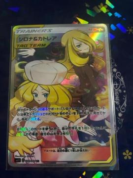 �V���i���J�g���A�ySR�z{106/095} [sm12]