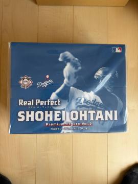 �i�󒍐��Y�j��J�ĕ� �v���~�A���t�B�M���A Vol.2Real Perfect