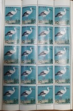 1964s@V[Y@REmg@LO؎@10~~20 V~L@L