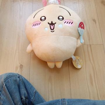 �������키�����ʂ�����ݒa����