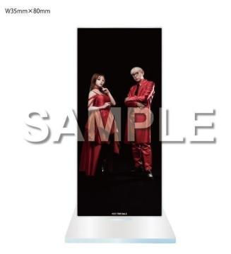 GARNiDELiA �A�N�����X�^���h ���ʌ��� �Z�u���l�b�g������T ���J��