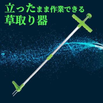 蓹    ֗  