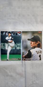 20072008v싅`bvX{n _rbVLM[J[h2