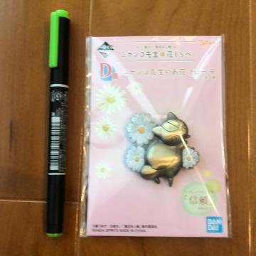 ĖڗFlԂ@jR搶̂ԃu[`