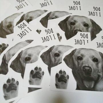 \Ȃ\!!DOG WALLSTICKER-EH[XebJ[S[f