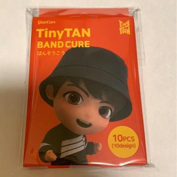 TinyTAN΂񂻂