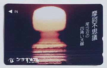 V[TChze@dsvc@Џ̎lpz