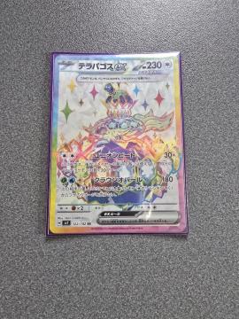 |PJ[h epSXex SR