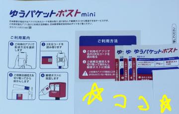 䂤pPbg|XgpV[3{䂤pPbg|Xgminip1 Vigp