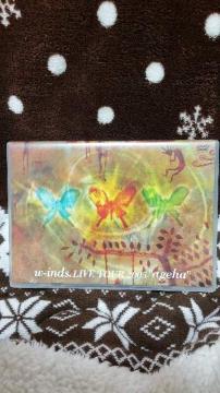 w-inds.LiveTour2005agehaDVD